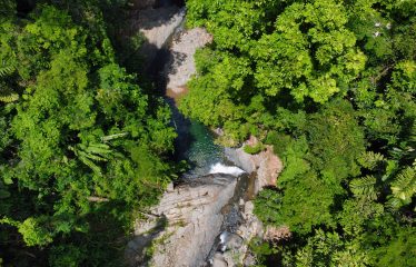 JUNGLE DREAMS FARM: WHERE NATURE MEETS SERENITY – 20 ACRES